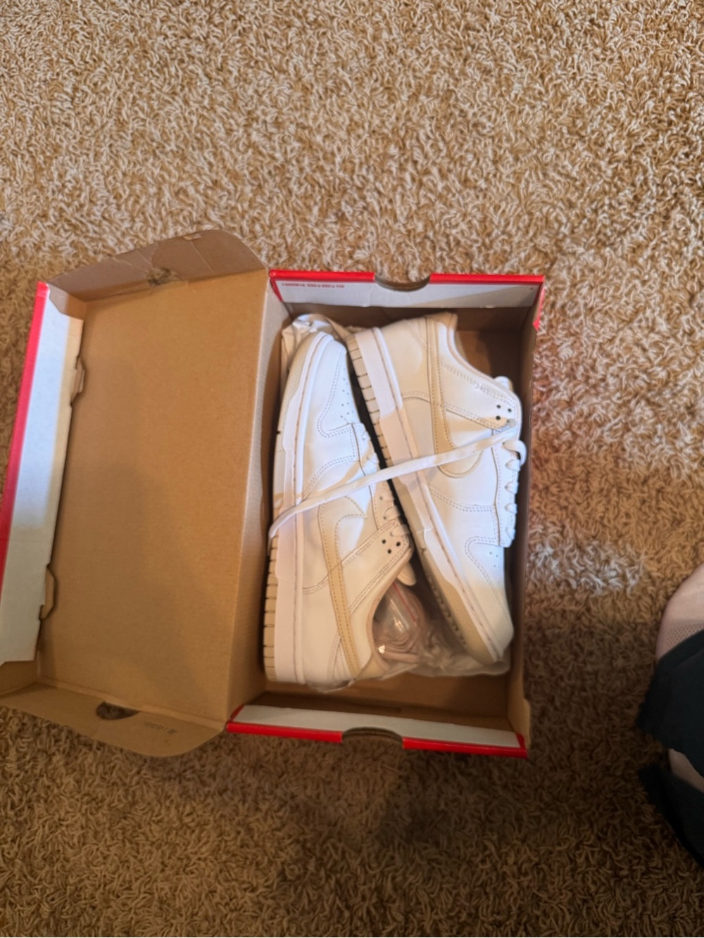 Nike White Low-Top Sneakers - Classic Casual Style
